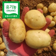 친환경(유기농인증) 감자