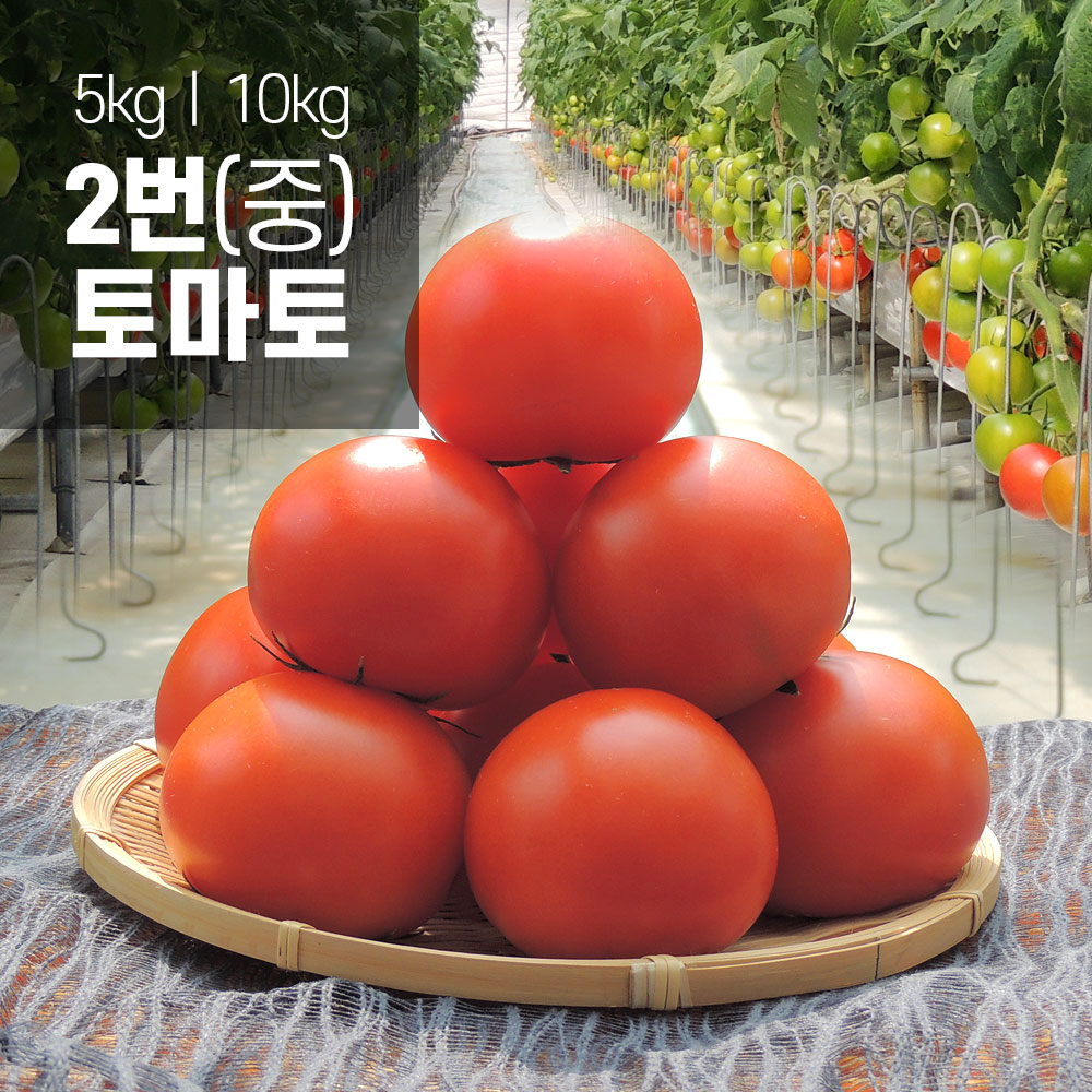 ★오픈행사★ 착한토마토 2번 (5kg)