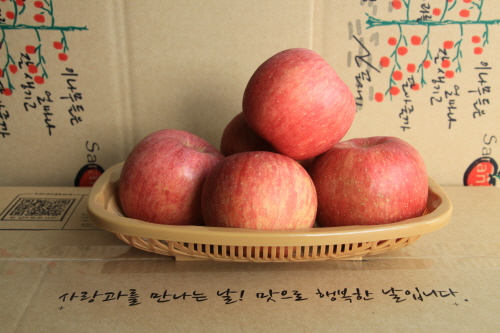껍질째먹는 부사2호 사과5kg(15과) 부사 봉화사과 선물용 가정용 햇사과 꿀사과