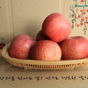껍질째먹는 부사2호 사과5kg(15과) 부사 봉화사과 선물용 가정용 햇사과 꿀사과