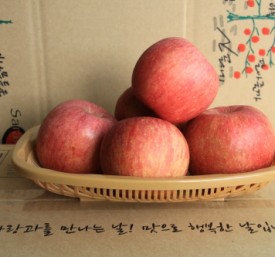 껍질째먹는 부사3호 사과5kg(17~18과) 부사 봉화사과 선물용 가정용 햇사과 꿀사과