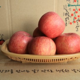 껍질째먹는 부사1호 사과5kg(12~13과) 부사 봉화사과 선물용 가정용 햇사과 꿀사과