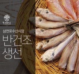 삼천포 반건조 생선