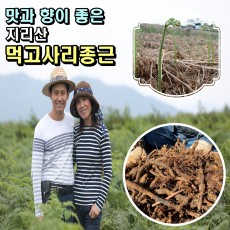 지리산 더좋은 먹 고사리재배  종근 뿌리 씨앗 고사리모종  18kg  우수 품종 품질 고품질 다수확(무료배송)